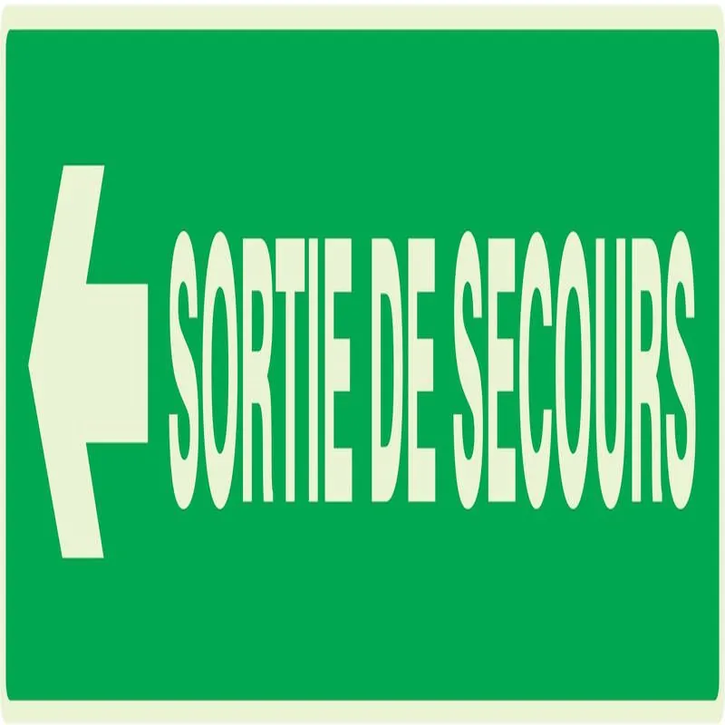 Panneau SORTIE DE SECOURS FLECHE A GAU Taliaplast 635414