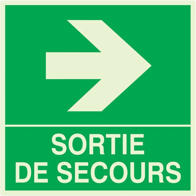 Panneau SORTIE DE SECOURS A DROITE NOR Taliaplast 638409