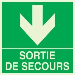 Panneau SORTIE DE SECOURS EN BAS NORMA Taliaplast 638412