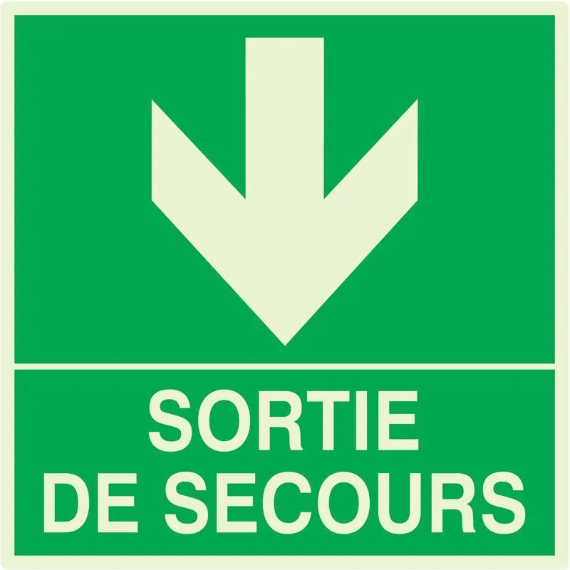 Panneau SORTIE DE SECOURS EN BAS NORMA Taliaplast 638412