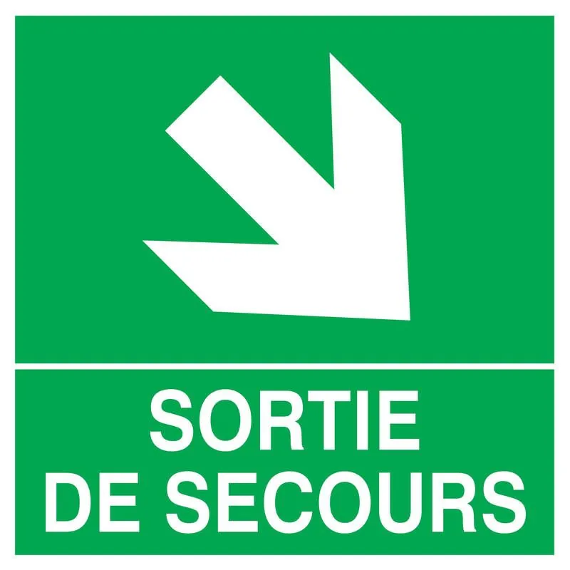 Panneau SORT.FLECH.BAS A DROITE NORMAS Taliaplast 628411