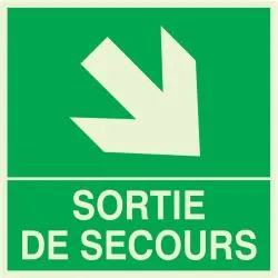 Panneau SORTIE DE SECOURS BAS DROITE N Taliaplast 638411