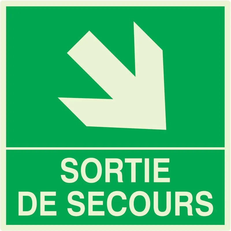 Panneau SORTIE DE SECOURS BAS DROITE N Taliaplast 638411