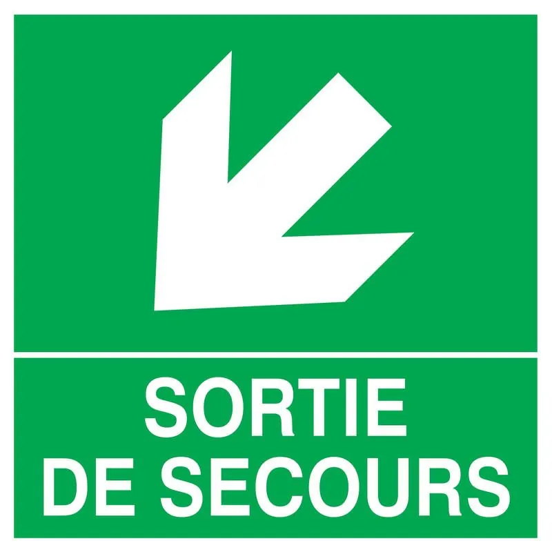 Panneau SORT.FLECHE EN BAS A GAUCHE NO Taliaplast 628413