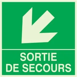 Panneau SORTIE DE SECOURS BAS GAUCHE N Taliaplast 638413