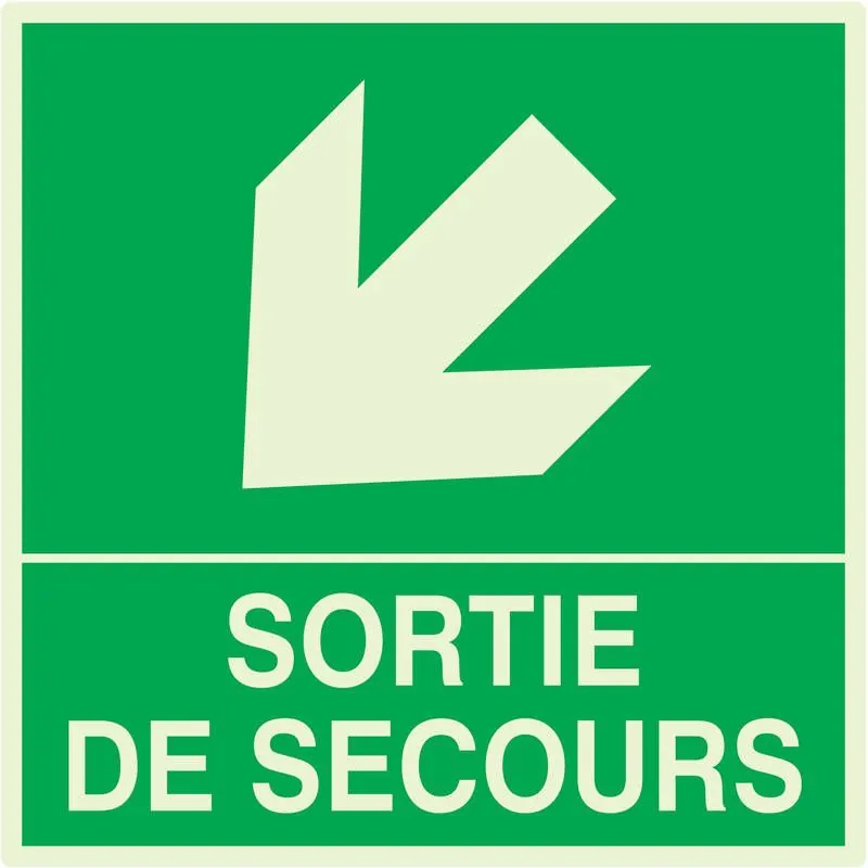 Panneau SORTIE DE SECOURS BAS GAUCHE N Taliaplast 638413