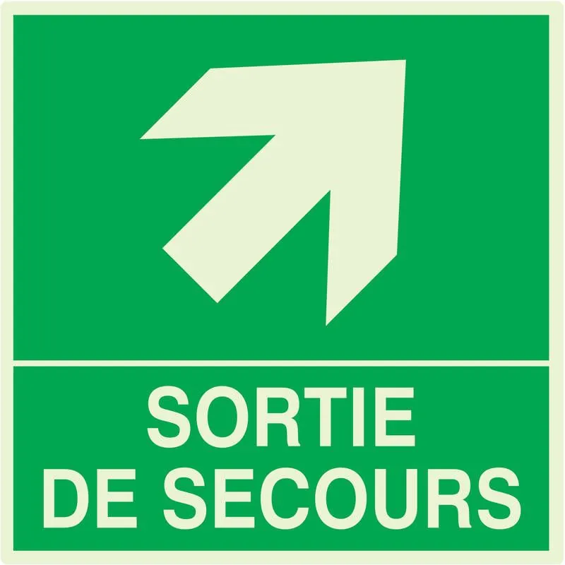 Panneau SORTIE DE SECOURS HAUT DROITE Taliaplast 638408