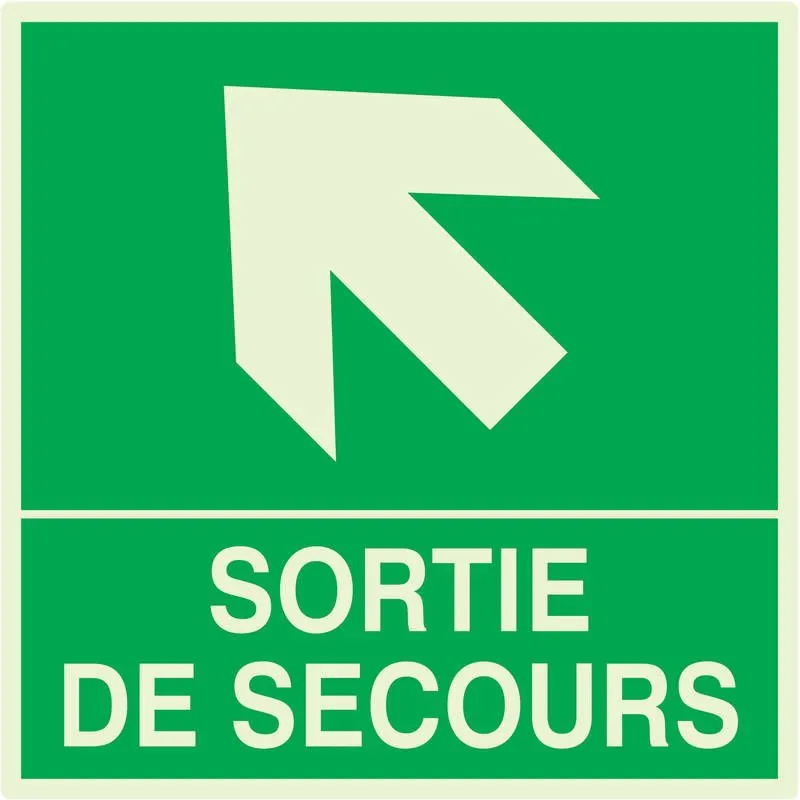 Panneau SORTIE DE SECOURS HAUT GAUCHE Taliaplast 638410