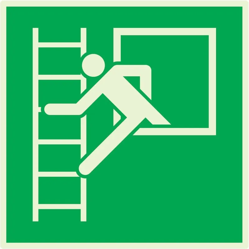 Panneau FENETRE SECOURS AVEC ECHELLE N Taliaplast 638422