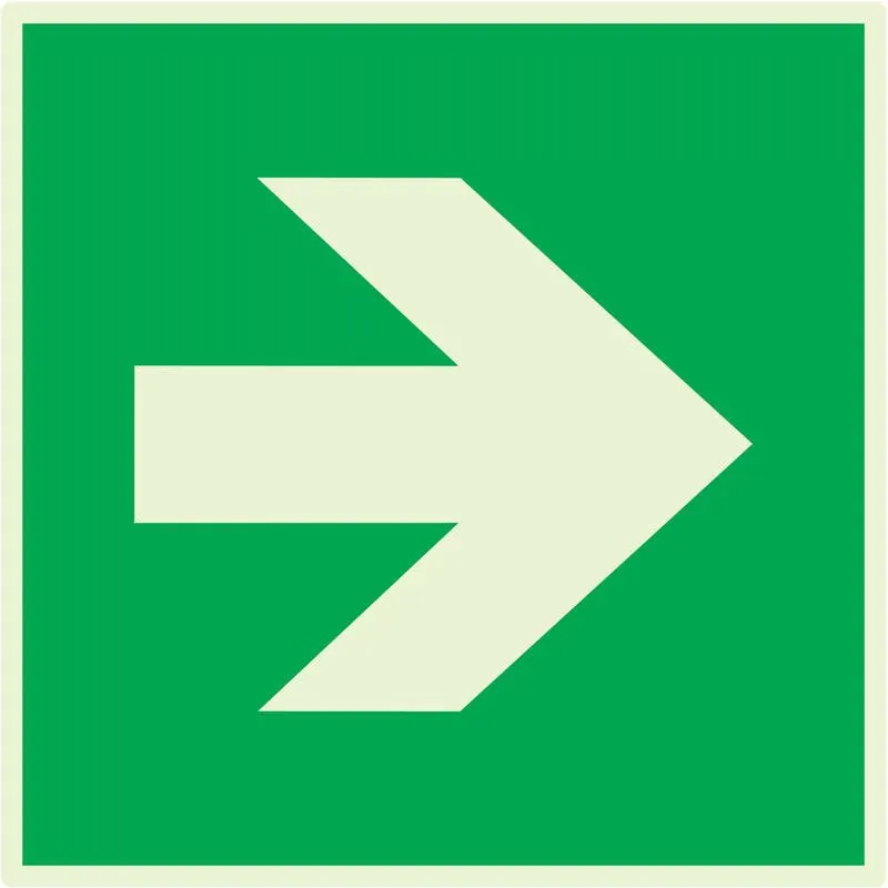 Panneau FLECHE NORMASIGN LUMINESCENT 2 Taliaplast 638418