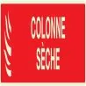 Panneau COLONNE SECHE LUMINESCENT 330x Taliaplast 635116