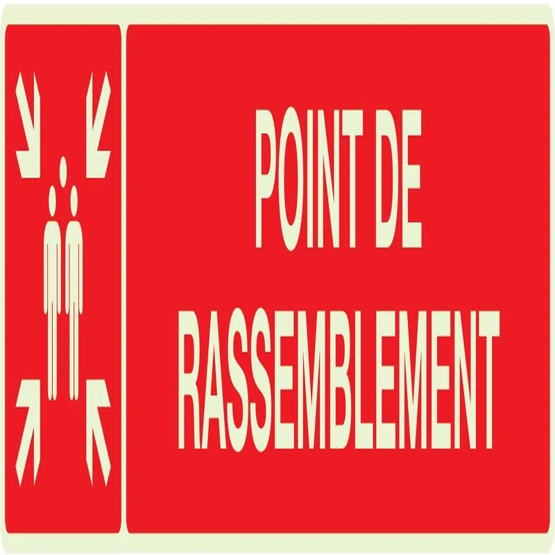 Panneau POINT RASSEMBL.APRES EVACUATI. Taliaplast 635111