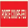 Panneau PORTE COUPE-FEU LUMINESCENT 33 Taliaplast 635121