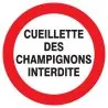 Panneau CUEILLETTE DES CHAMPIGNONS INT Taliaplast 727242