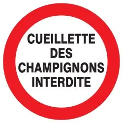 Panneau CUEILLETTE DES CHAMPIGNONS INT Taliaplast 723238
