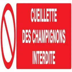 Panneau CUEILLETTE DES CHAMPIGNONS INT Taliaplast 725221
