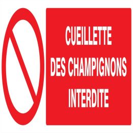 Panneau CUEILLETTE DES CHAMPIGNONS INT Taliaplast 726221