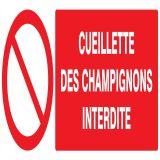 Panneau CUEILLETTE DES CHAMPIGNONS INT Taliaplast 726221
