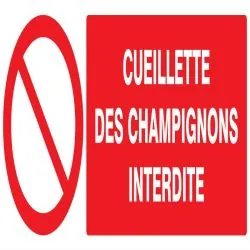 Panneau CUEILLETTE DES CHAMPIGNONS INT Taliaplast 726221