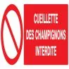 Panneau CUEILLETTE DES CHAMPIGNONS INT Taliaplast 726221