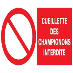Panneau CUEILLETTE DES CHAMPIGNONS INT Taliaplast 721221