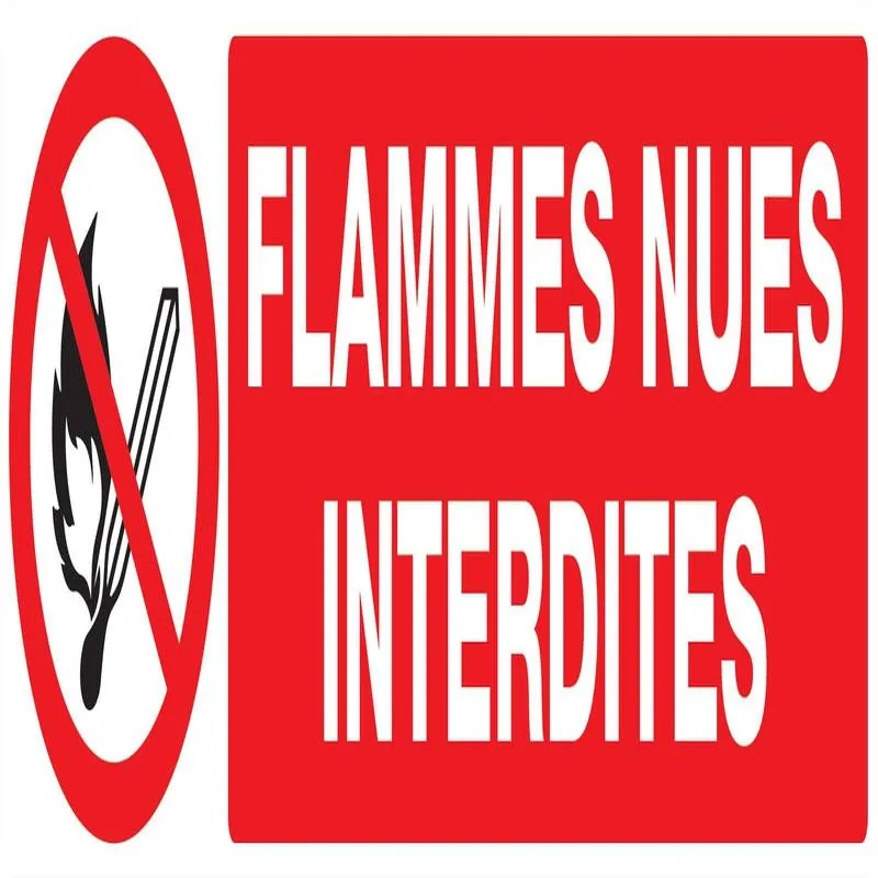 Panneau FLAMMES NUES INTERDITES NORMAS Taliaplast 720226