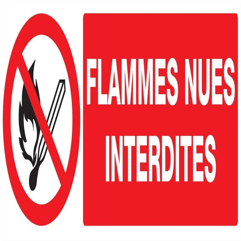 Panneau FLAMMES NUES INTERDITES NORMAS Taliaplast 726226