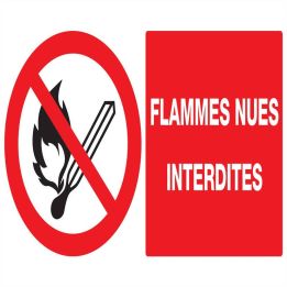 Panneau FLAMMES NUES INTERDITES NORMAS Taliaplast 721226