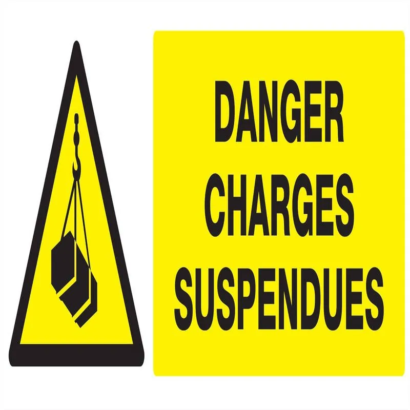 Panneau DANGER CHARGES SUSPENDUES NORM Taliaplast 726307