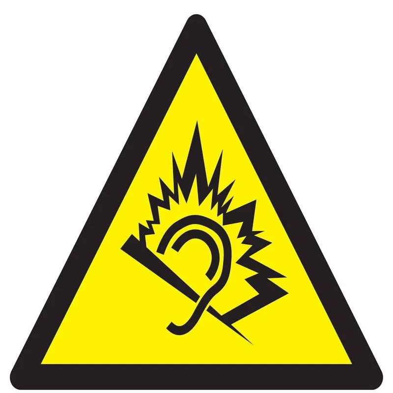 Panneau DANGER DU AU BRUIT NORMASIGN A Taliaplast 729347