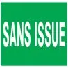 Panneau SANS ISSUE (SECOURS) NORMASIGN Taliaplast 726415