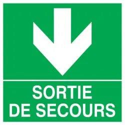 Panneau SORTIE FLECHE EN BAS 200X200 N Taliaplast 728412