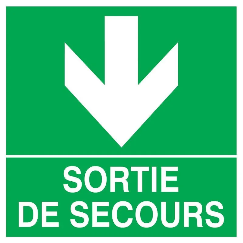 Panneau SORTIE FLECHE EN BAS 200X200 N Taliaplast 728412