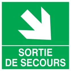 Panneau SORTIE FLECHE BAS DROITE NORMA Taliaplast 728411