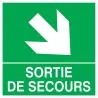 Panneau SORTIE FLECHE BAS DROITE NORMA Taliaplast 728411