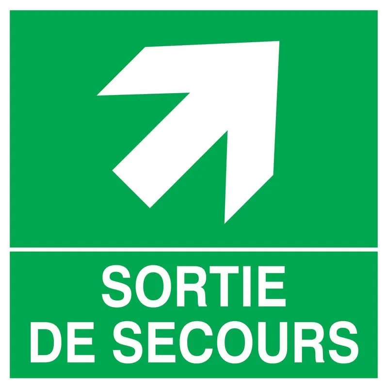 Panneau SORT.FLECHE EN HAUT A DROITE_ Taliaplast 728408