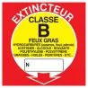 Panneau EXTINCTEUR CLASSE B NORMASIGN Taliaplast 728116
