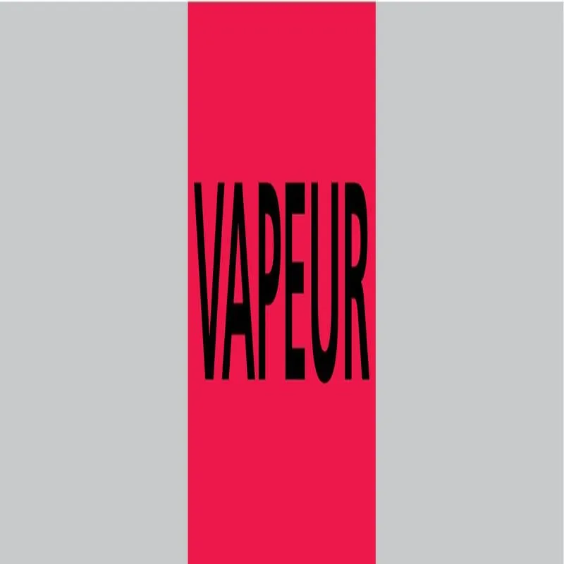 Panneau VAPEUR 312X52 MARQUAGE TUYAUTE Taliaplast 730204