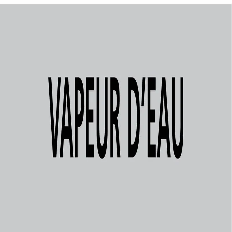 Panneau VAPEUR D'EAU 156X26 MARQUAGE T Taliaplast 732217