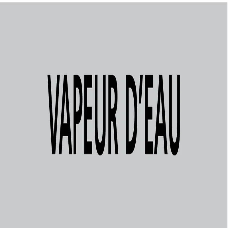 Panneau VAPEUR D'EAU 222X37 MARQUAGE T Taliaplast 731217
