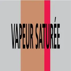Panneau VAPEUR SATUREE 312X52 MARQUAGE Taliaplast 730214