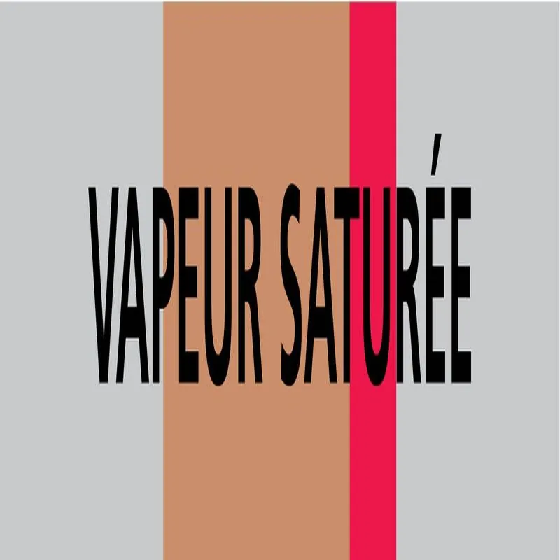 Panneau VAPEUR SATUREE 312X52 MARQUAGE Taliaplast 730214