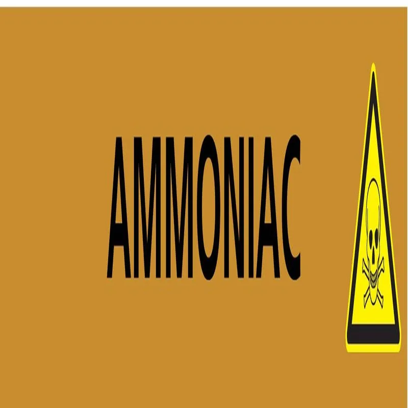 Panneau AMMONIAC 156X26 MARQUAGE TUYAU Taliaplast 732503