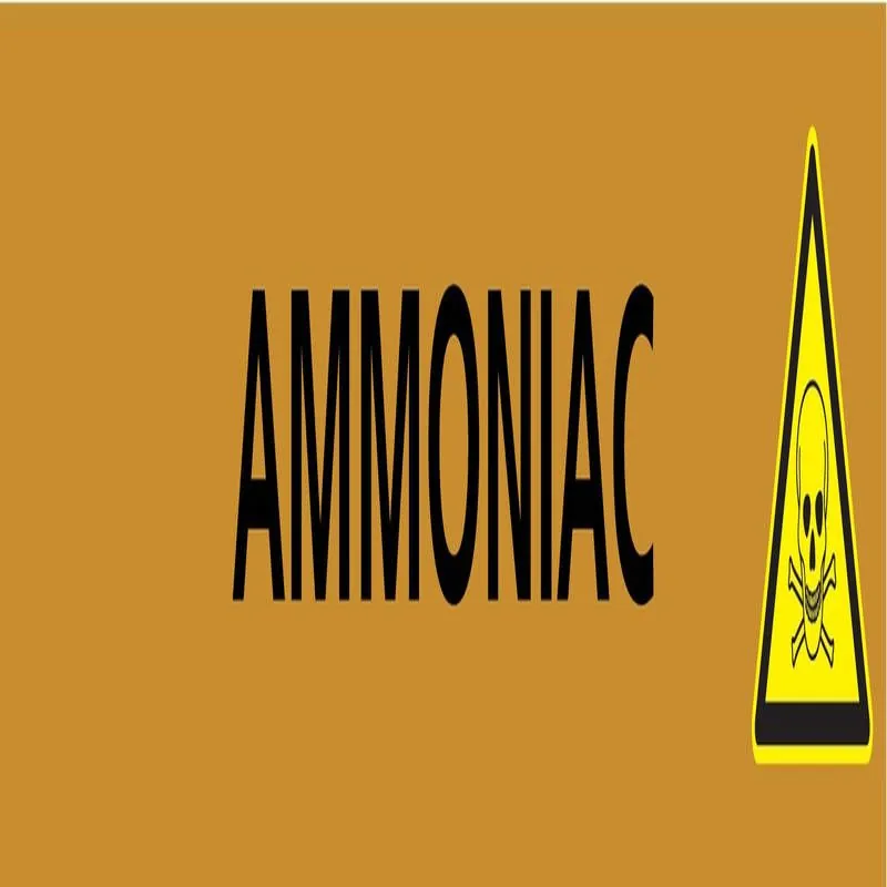 Panneau AMMONIAC 312X52 MARQUAGE TUYAU Taliaplast 730503
