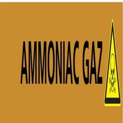 Panneau AMMONIAC GAZ 156X26 MARQUAGE T Taliaplast 732504