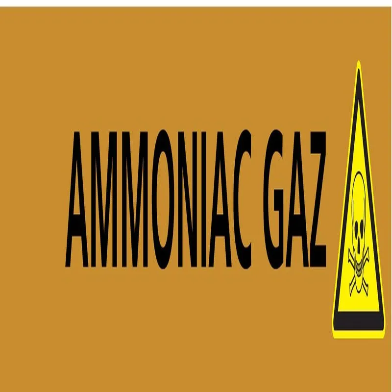 Panneau AMMONIAC GAZ 156X26 MARQUAGE T Taliaplast 732504