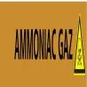 Panneau AMMONIAC GAZ 156X26 MARQUAGE T Taliaplast 732504