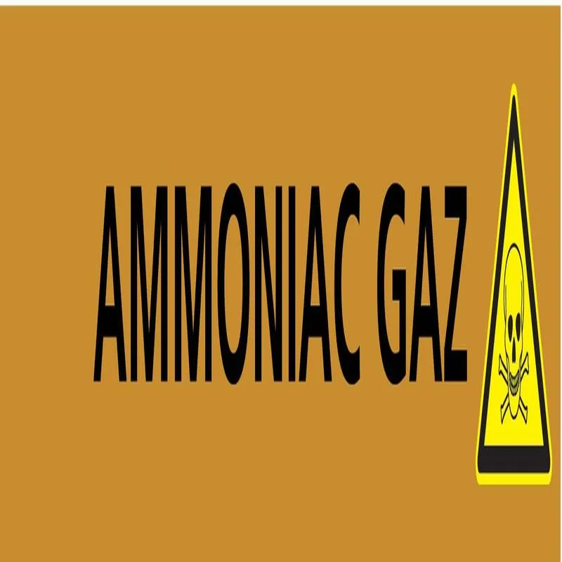 Panneau AMMONIAC GAZ 222X37 MARQUAGE T Taliaplast 731504