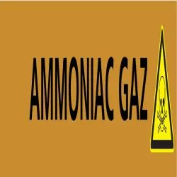 Panneau AMMONIAC GAZ 312X52 MARQUAGE T Taliaplast 730504