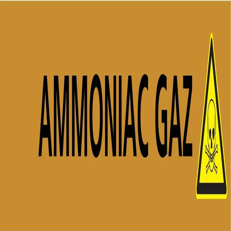 Panneau AMMONIAC GAZ 312X52 MARQUAGE T Taliaplast 730504